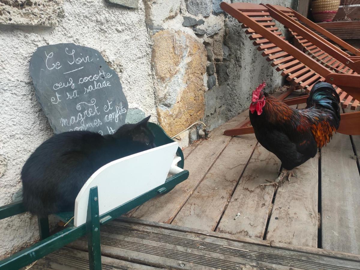 Chambres D'Hotes Les Chatougoulis Les Bordes-sur-Lez Екстериор снимка